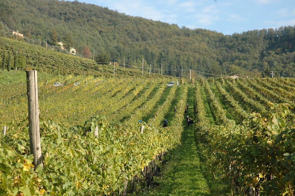 Fattoria Il Lago Dicomano ภายนอก รูปภาพ