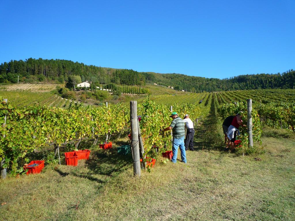 Fattoria Il Lago Dicomano ภายนอก รูปภาพ